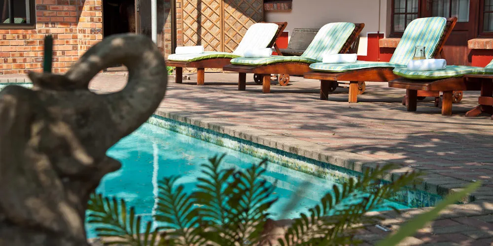 Swimming pool with lounge chairs elephant statue and plants in a sunny courtyard