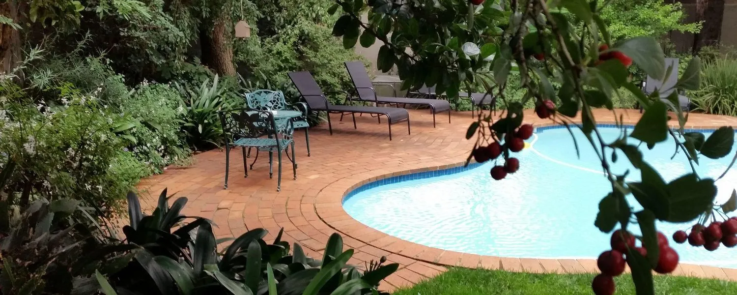 Swimming pool with lounge chairs surrounded by greenery and red berries in foreground