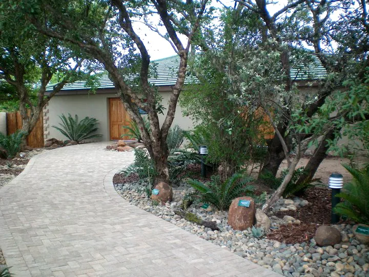 Pathway leading to a house entrance surrounded by trees and rocks