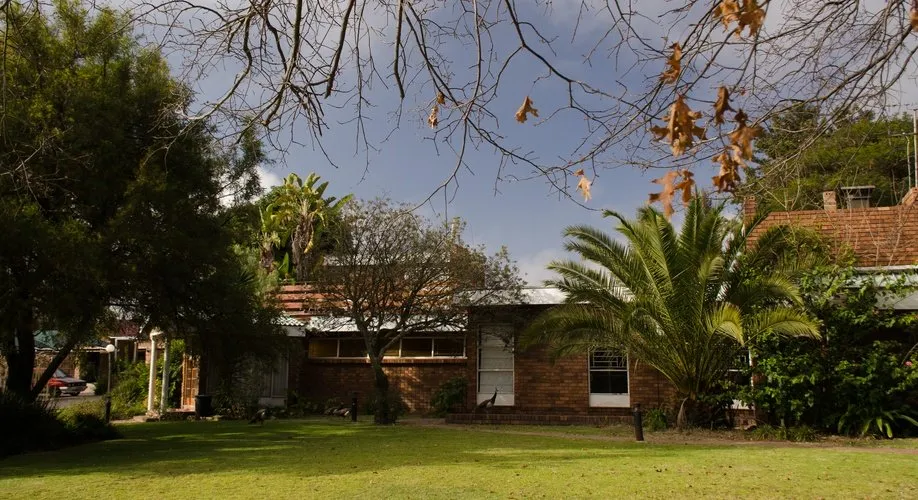 Singlestory brick house with a green lawn and palm trees in front