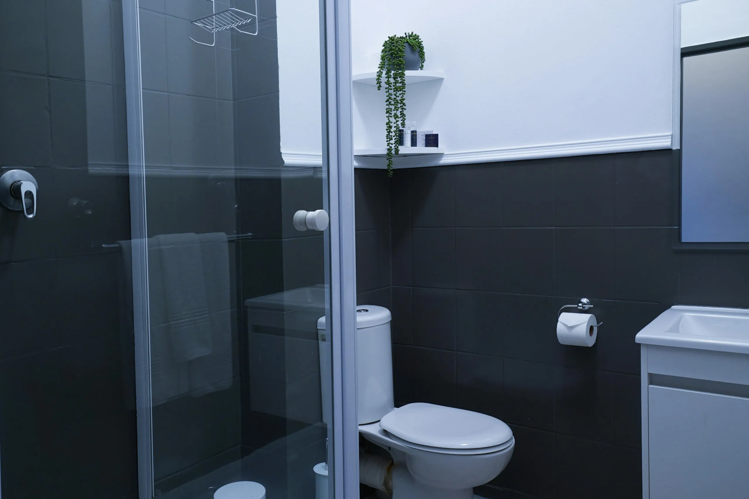 Modern bathroom with shower toilet sink and plant on shelf