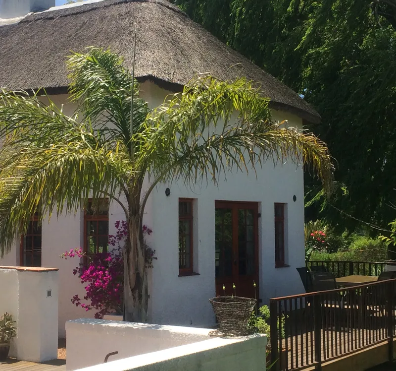 White cottage with a thatched roof surrounded by greenery and flowers