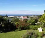 Lush garden with a view of houses and the ocean in the distance