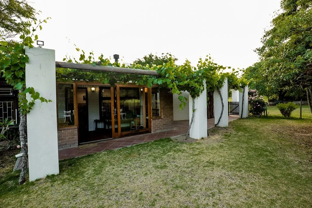 Modern house with large windows and a green vinecovered pergola in a garden