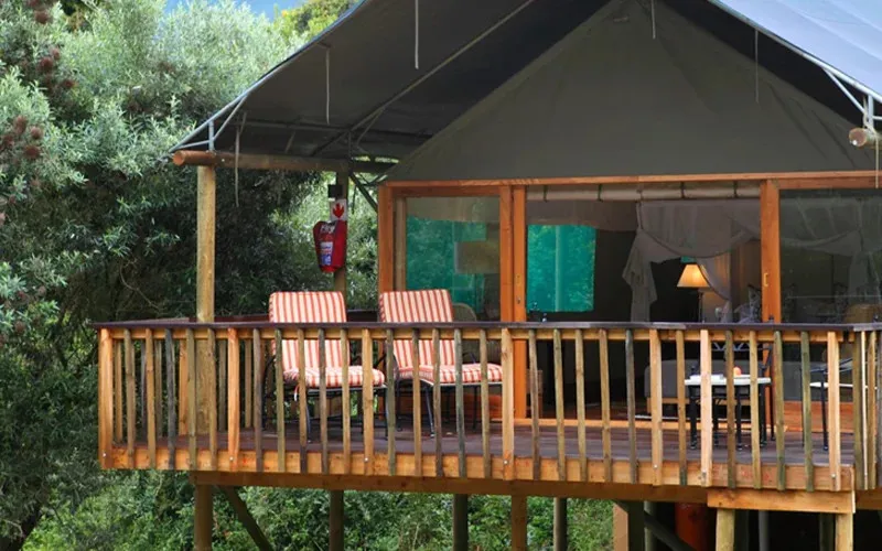 Elevated wooden deck with striped chairs and a tentstyle cabin in a forest