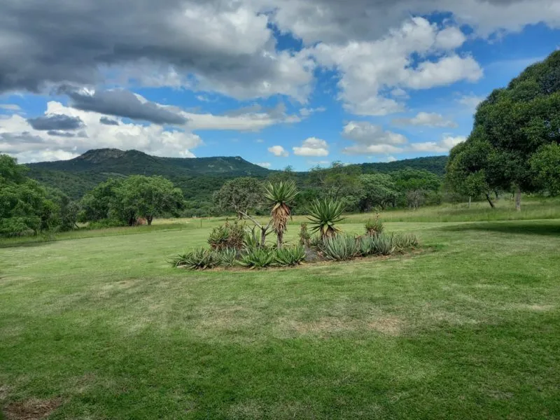 Grassy field with aloe plants and trees under a partly cloudy sky