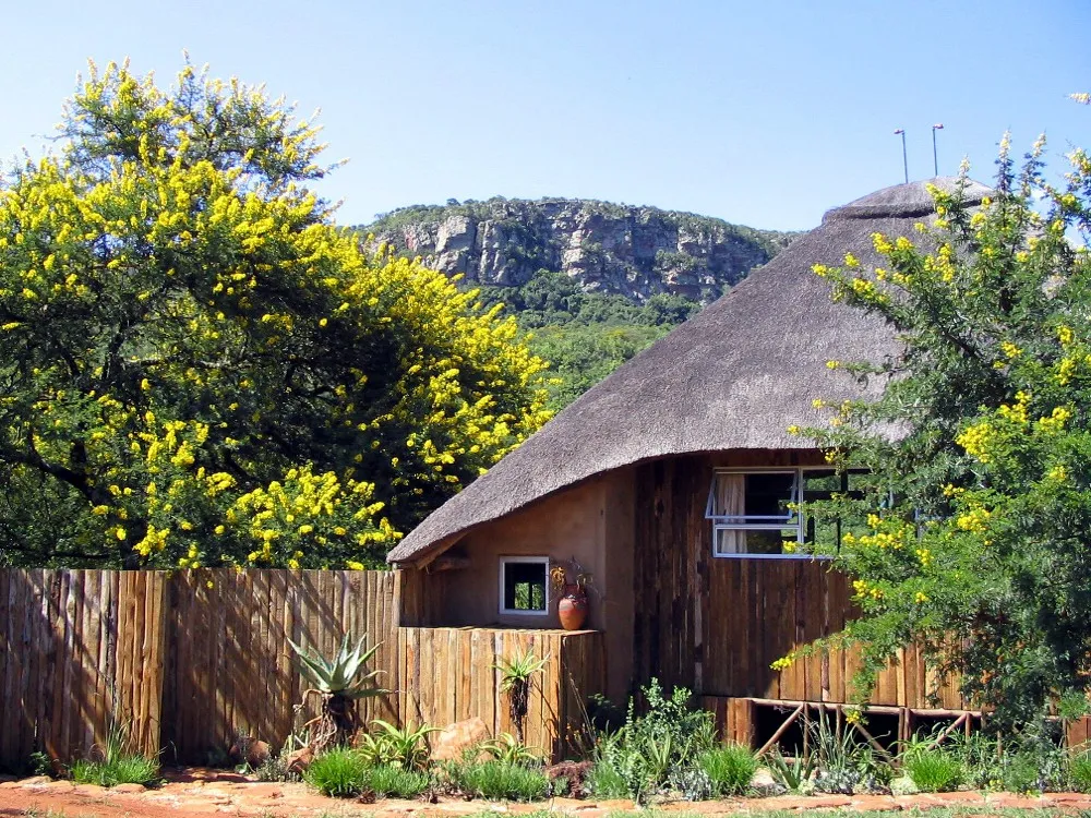 Thatchedroof hut with wooden fence and flowering trees in a natural setting