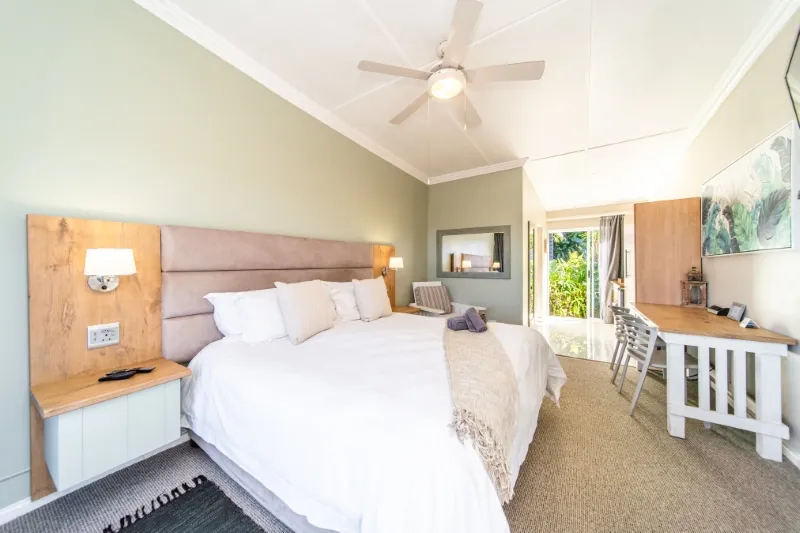 Modern bedroom with large bed ceiling fan and desk near open patio door