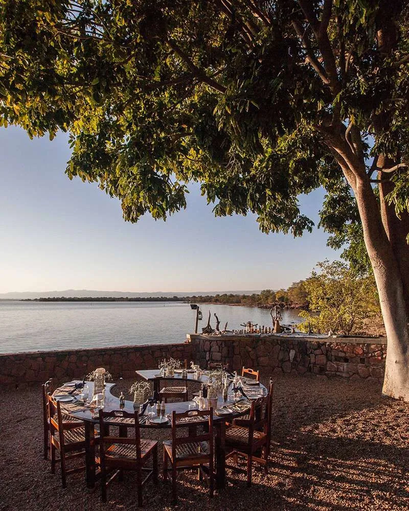 Round table with chairs under a tree near a lake and stone wall