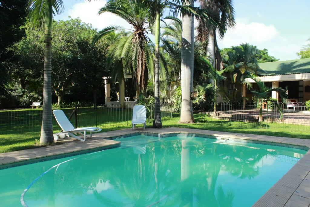 Swimming pool with lounge chairs in a tropical garden setting