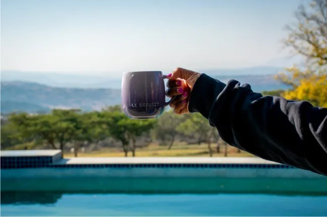 Person holding a mug by a pool with a scenic background