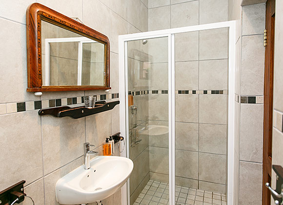 Modern bathroom with sink, mirror, and glass shower enclosure.
