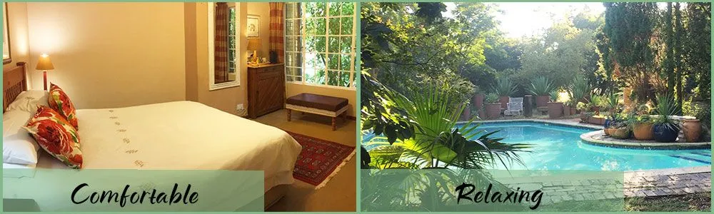 Bedroom with bed and pool with plants labeled comfortable and relaxing