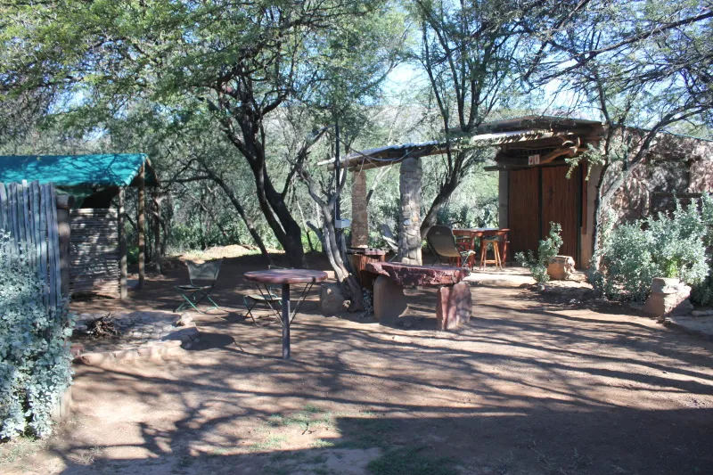 Outdoor seating area with tables and chairs under trees near rustic buildings