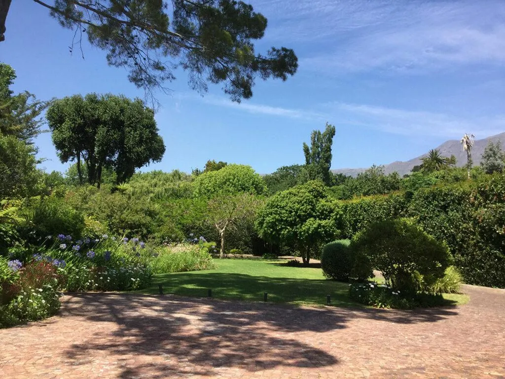 A lush garden with green trees and shrubs under a clear blue sky