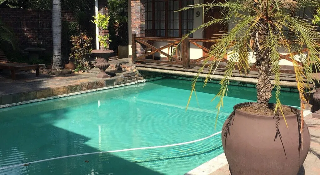 Swimming pool with a potted palm tree beside it brick building in background