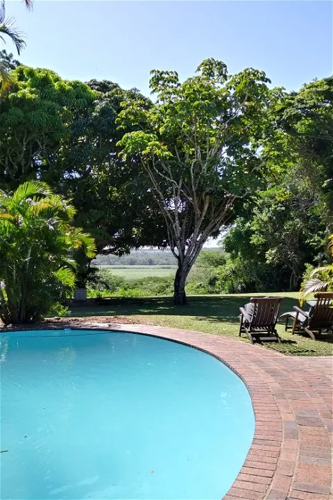 Swimming pool with lounge chairs in a lush green garden setting