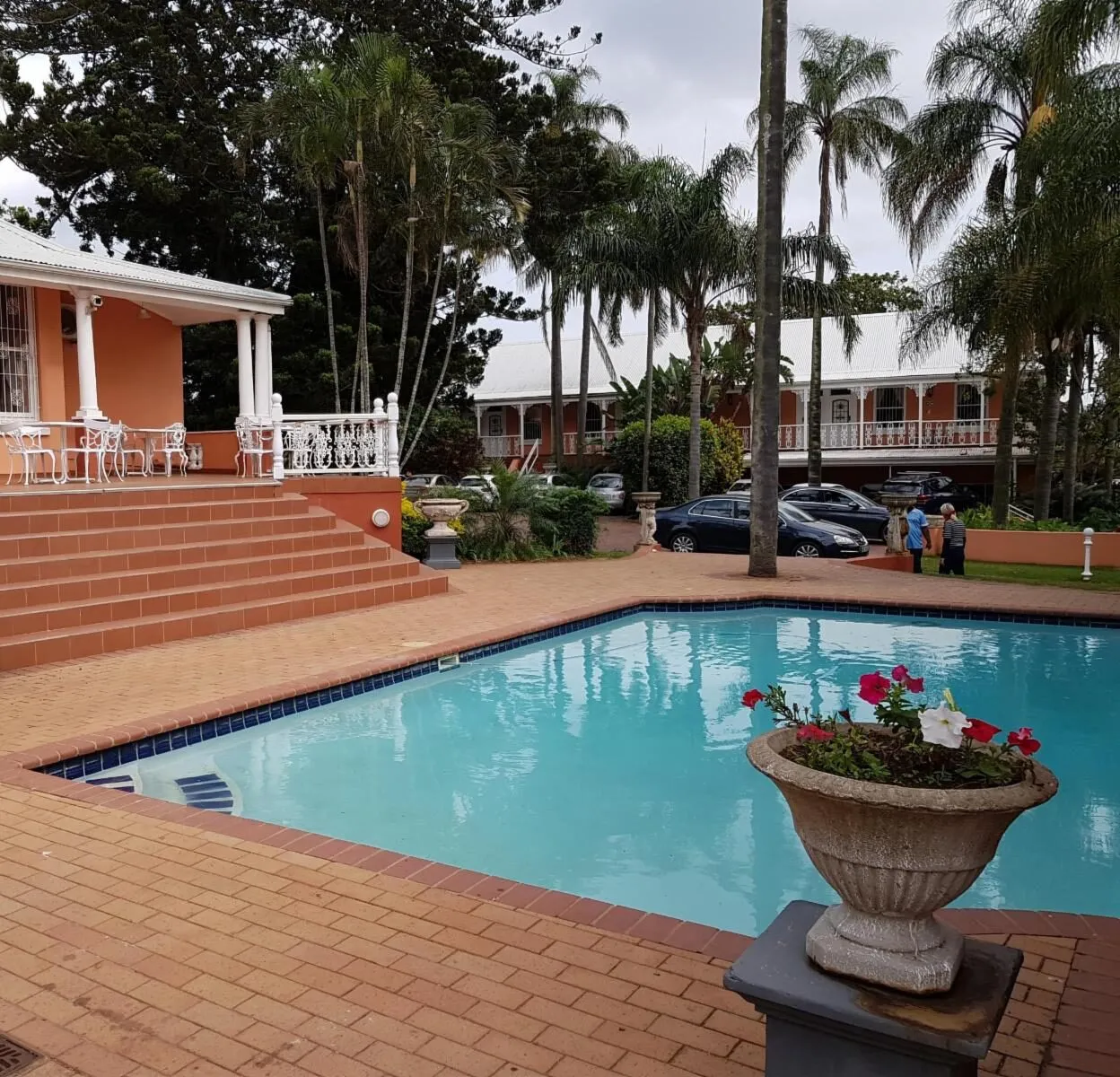 Swimming pool with potted flowers in front surrounded by palm trees and buildings