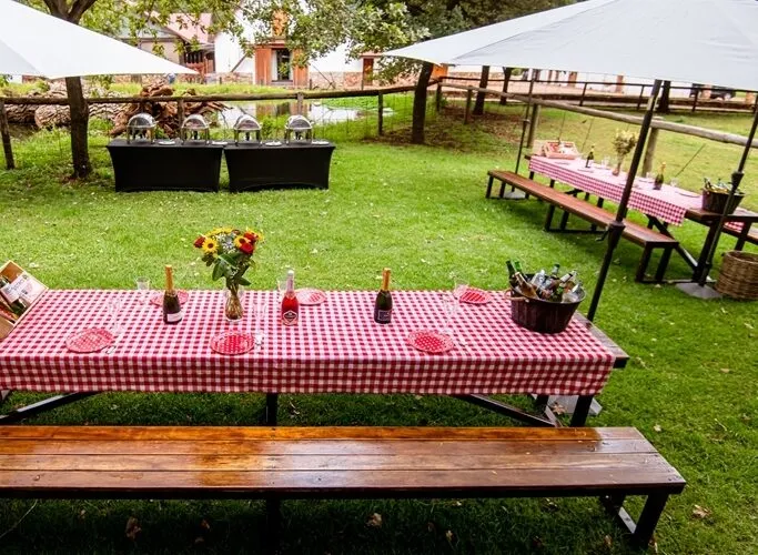 Picnic tables with red checkered tablecloths and decorations in a grassy outdoor setting