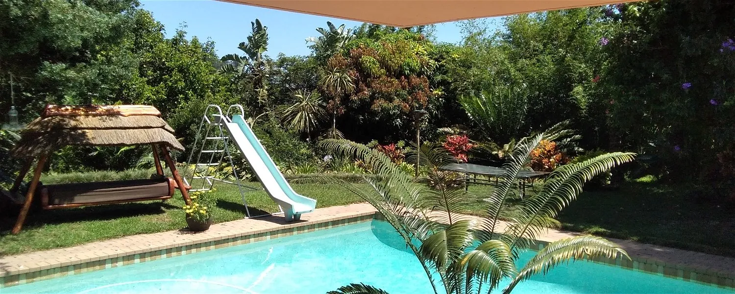 Swimming pool with slide lush garden and shaded seating area in backyard