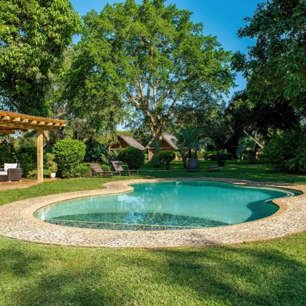 Swimming pool in a lush garden with trees and lounge chairs