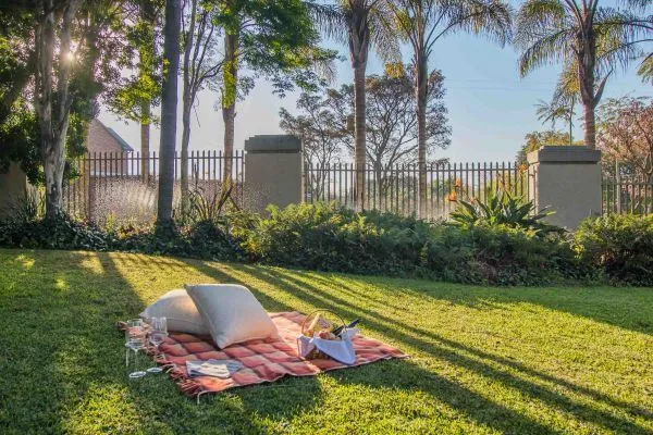 Picnic setup on grass with pillows blanket and food under trees