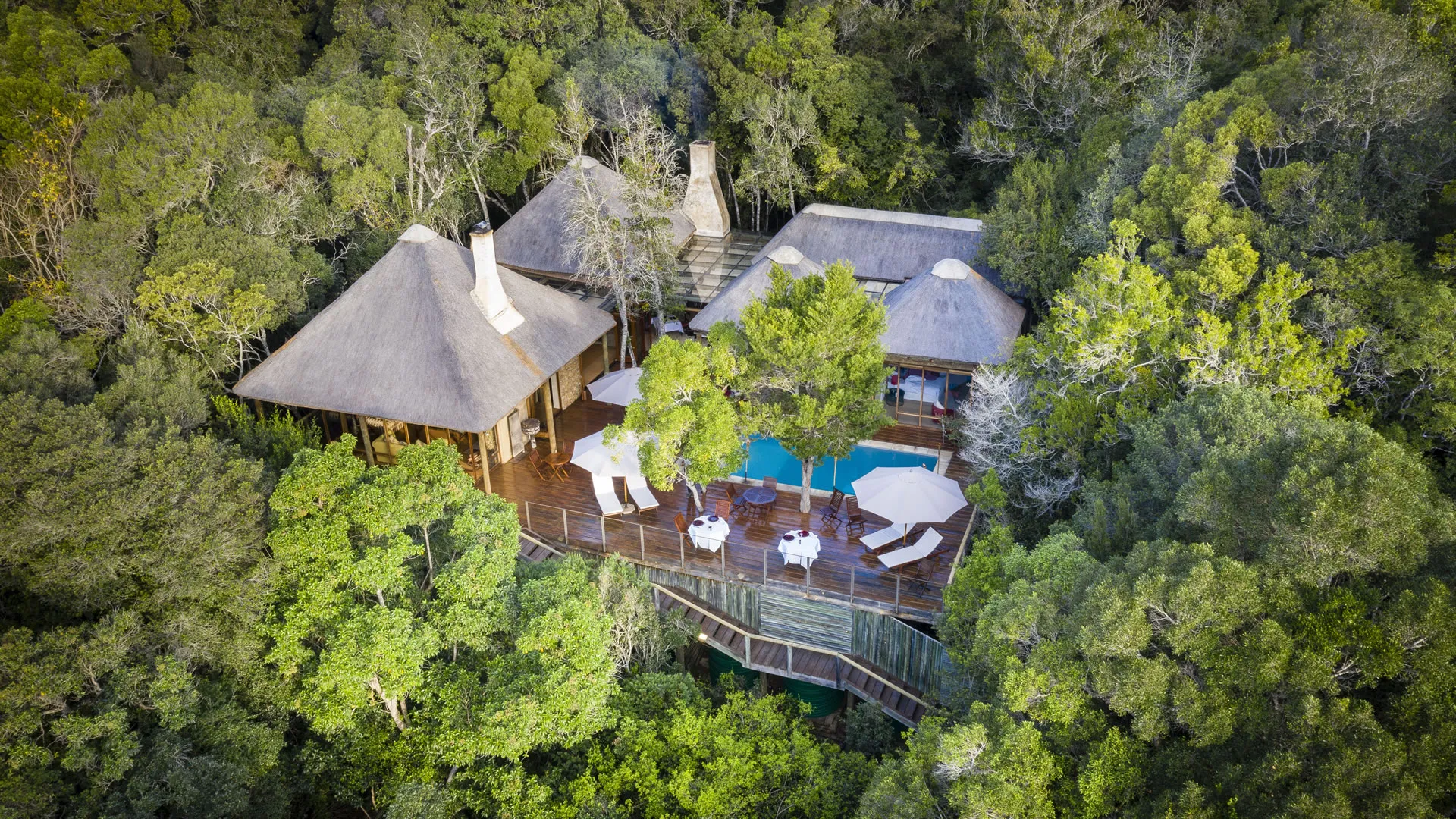 Luxury treehouse with pool surrounded by dense forest