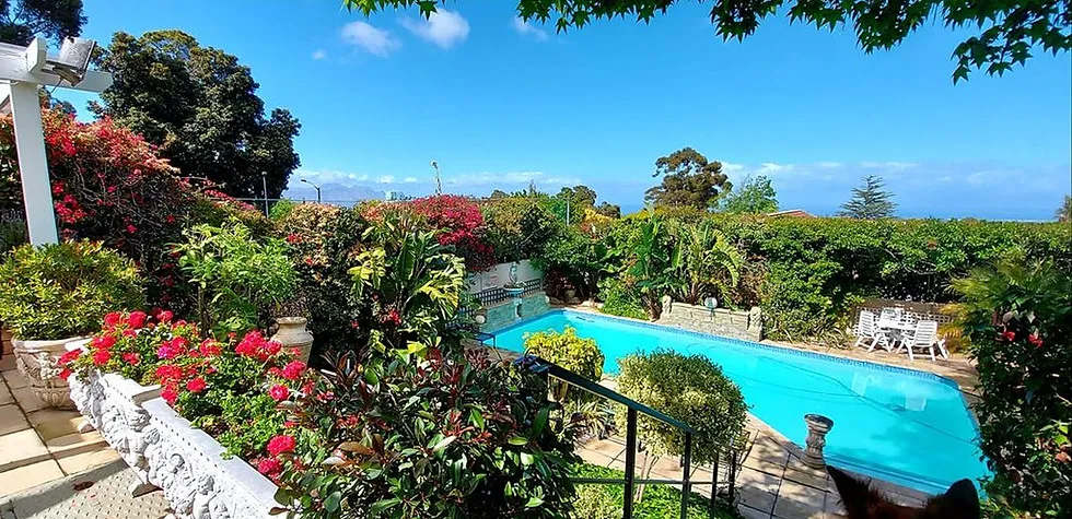 A backyard with a swimming pool lush greenery and colorful flowers