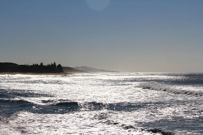 Ocean waves with sunlight reflecting on the water distant shoreline with trees