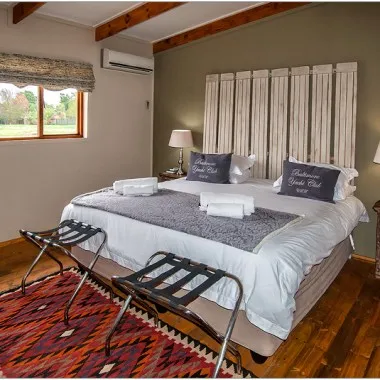 Bedroom with a large bed two chairs and a patterned rug