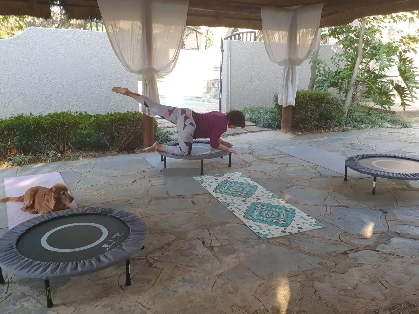 Person doing yoga on a trampoline dog resting on another trampoline outdoor setting