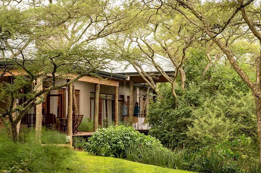 Wooden house with large windows surrounded by lush greenery and trees