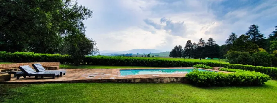 Swimming pool in a lush garden with lounge chairs and distant trees