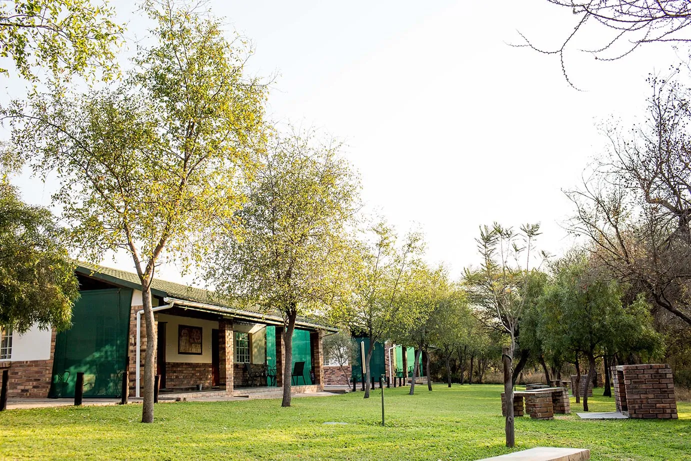 Row of greenroofed buildings with trees and grass in a sunny outdoor setting