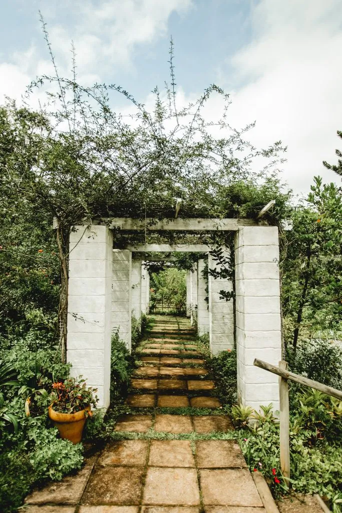 Pathway through white archway with greenery and flowers on either side
