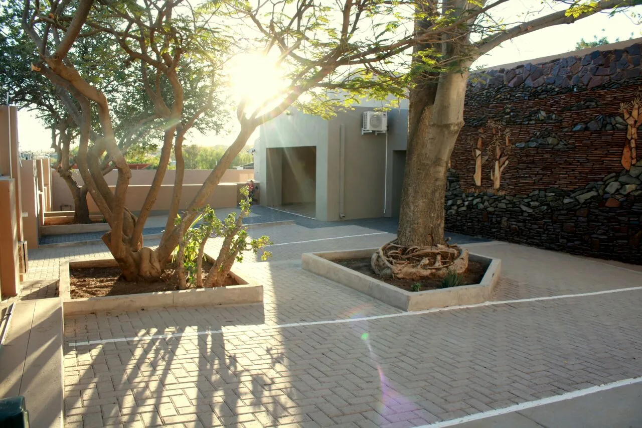Tree in a raised planter on a paved courtyard with sunlight and shadows