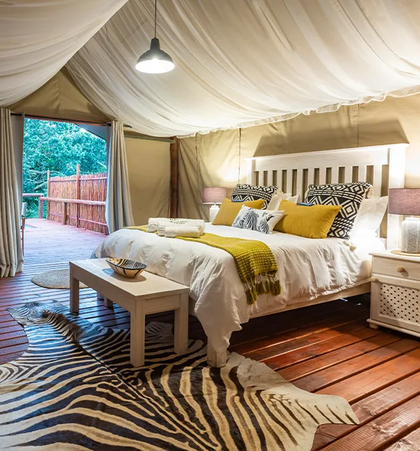 Luxurious tent interior with a large bed pillows and a zebraskin rug