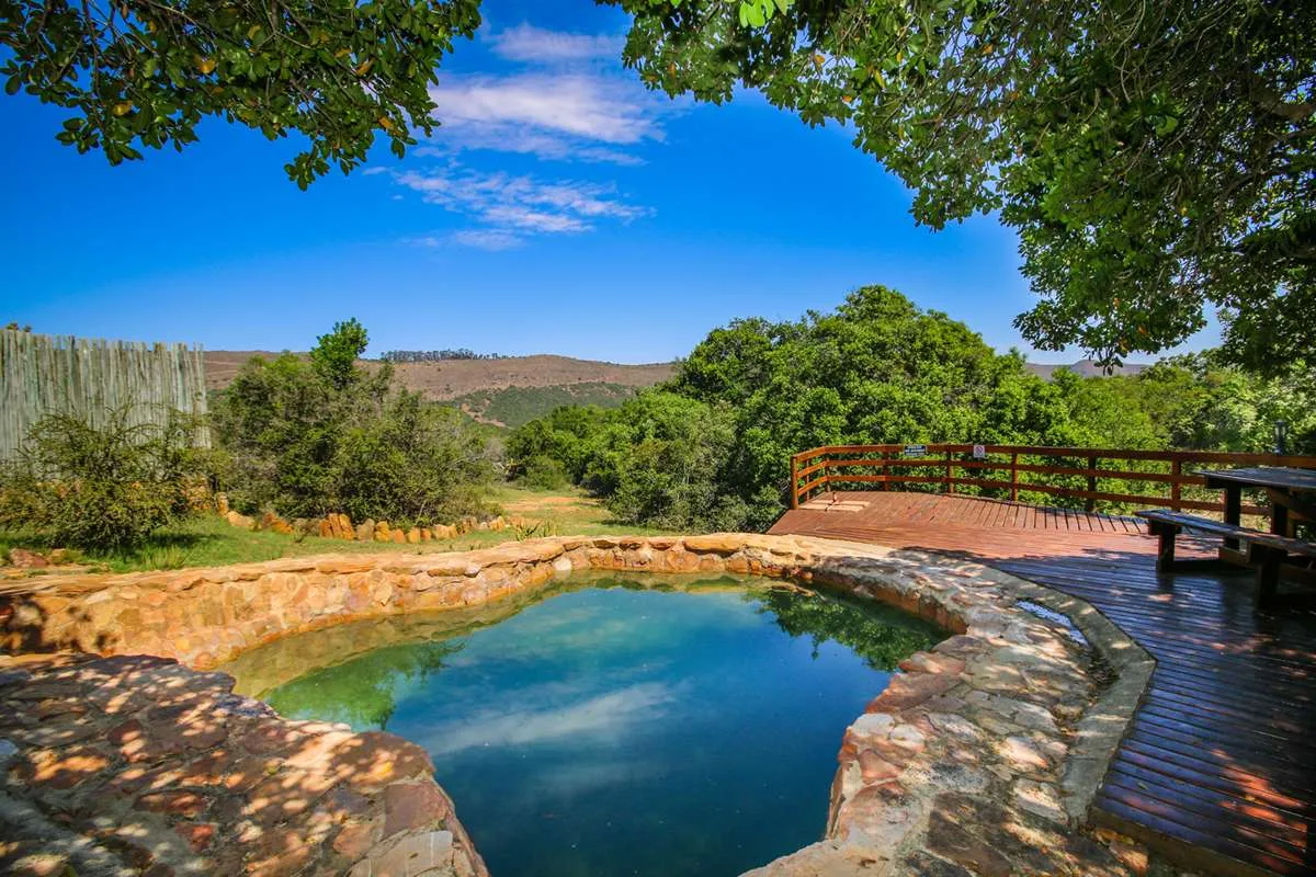 Natural rock pool with wooden bridge in lush green outdoor setting