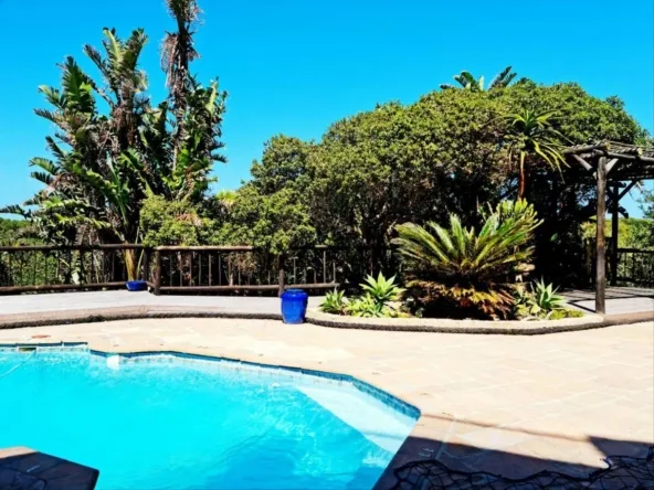 Swimming pool with surrounding plants and trees under a sunny sky