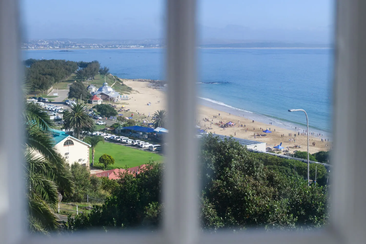 View of a beach and ocean from a window with greenery in the foreground