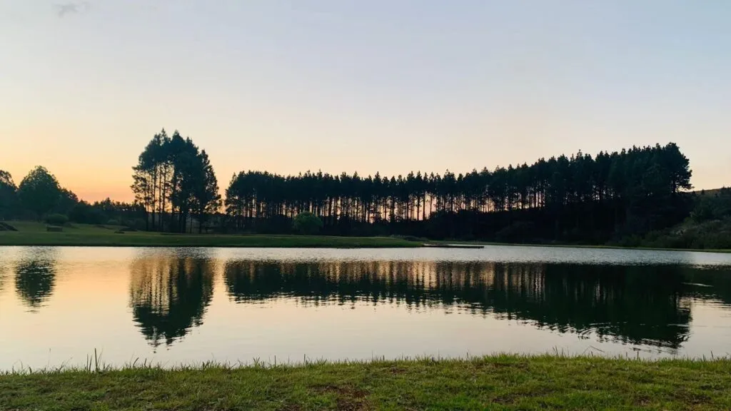 Lake with tree reflections at sunset grassy foreground