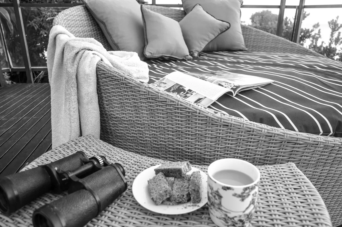 Wicker daybed with pillows towel binoculars plate of food and cup