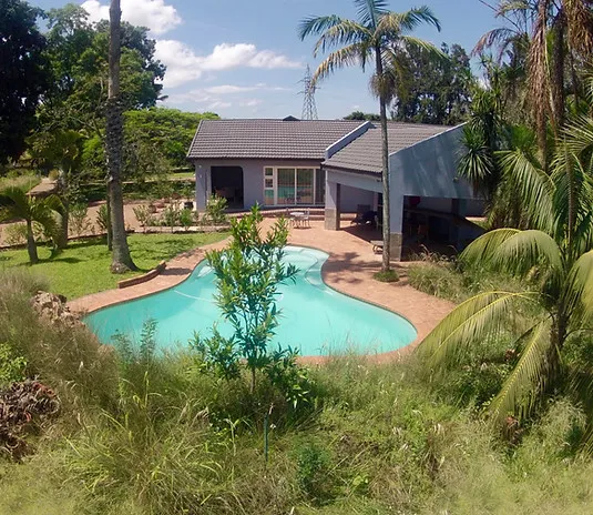 House with a pool surrounded by palm trees and greenery