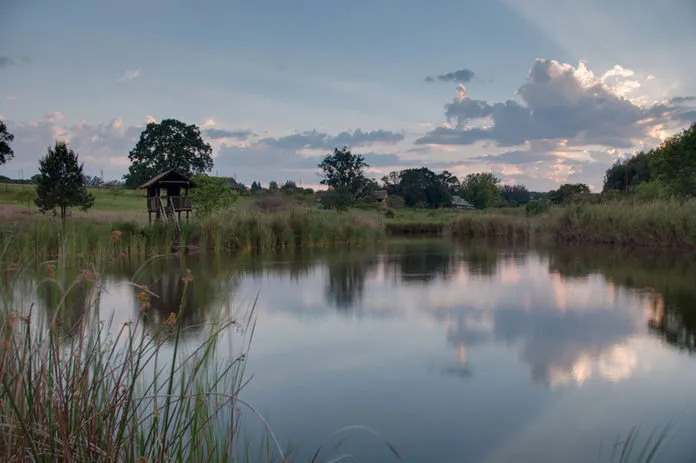 Pond with wooden gazebo tall grass and trees under a cloudy sky