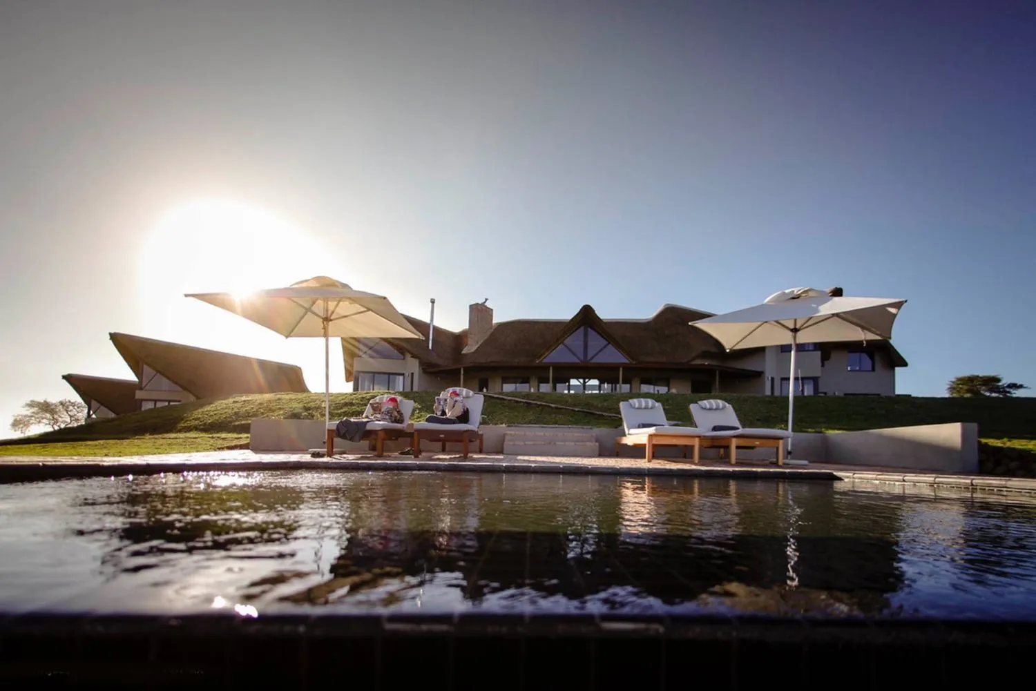 Modern house with pool lounge chairs and umbrellas at sunset