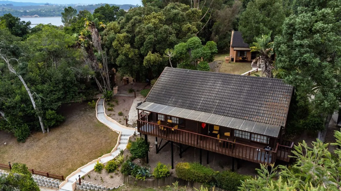 Wooden cabin on stilts in a lush green forest with a lake view