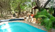 Swimming pool surrounded by trees and plants in a natural setting