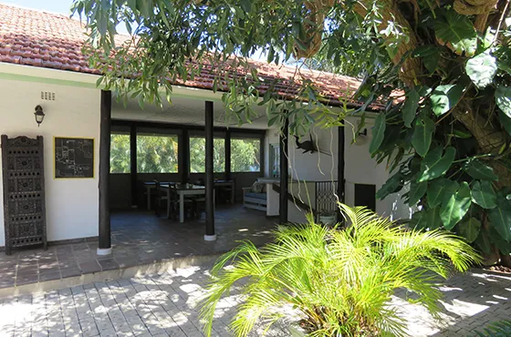 House with tiled roof open veranda and lush greenery in the foreground
