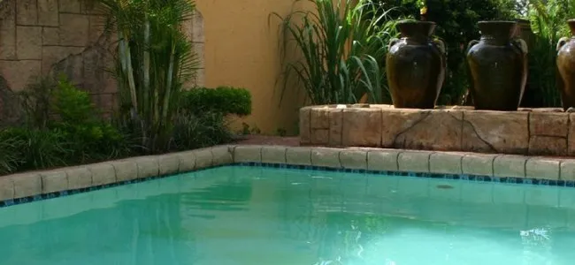 Swimming pool with large decorative pots and plants in a garden setting