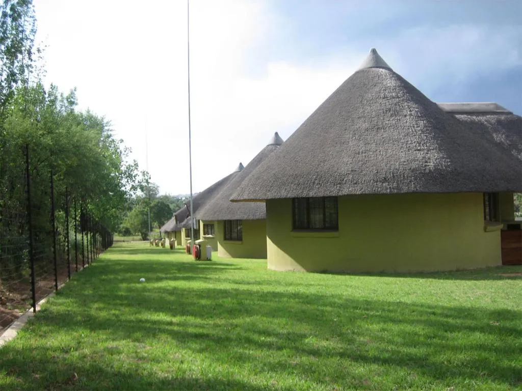 Row of traditional huts with thatched roofs in a grassy area